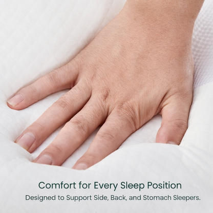 2x Family Pack : Cervical & Migraine Pillow